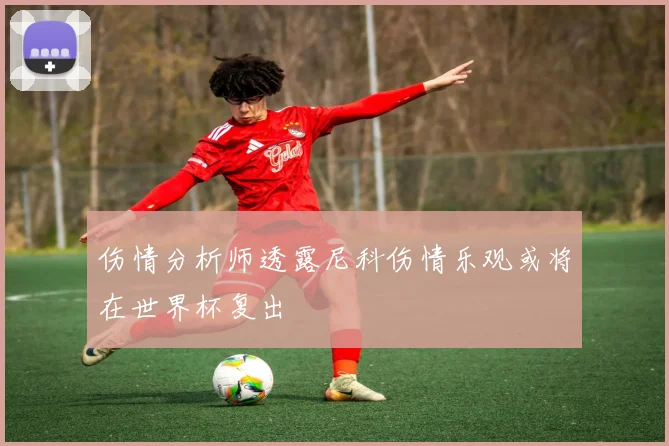 伤情分析师透露尼科伤情乐观或将在世界杯复出