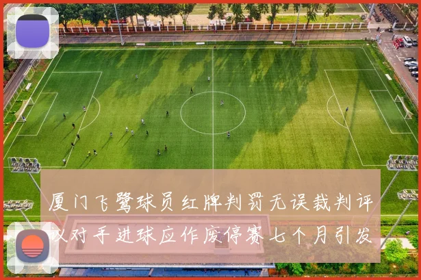 厦门飞鹭球员红牌判罚无误裁判评议对手进球应作废停赛七个月引发热议